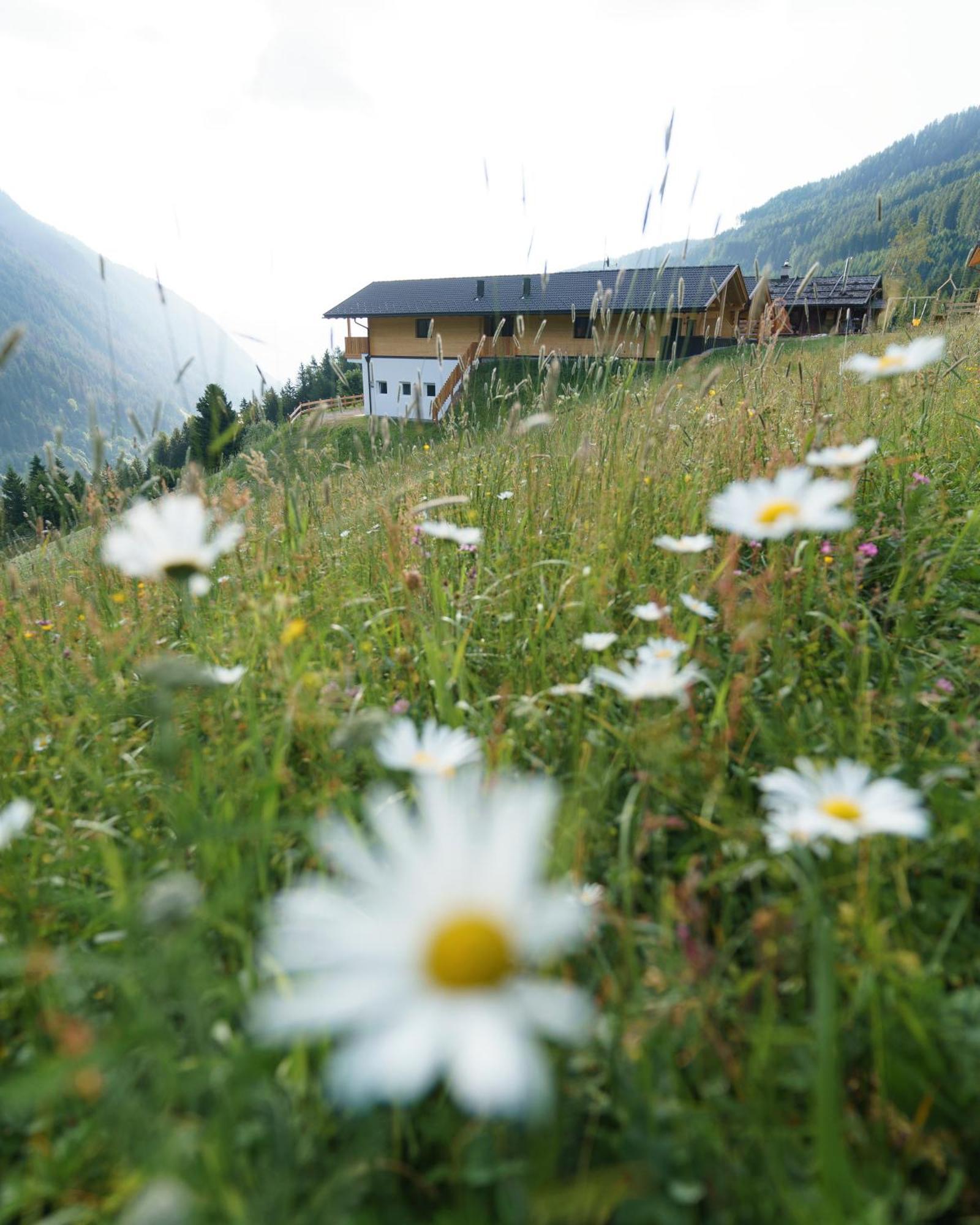 Blosegghof Bergchalets Waldblick Рачинес Екстер'єр фото